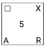 Q8 option 2