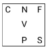 Q19 option 2