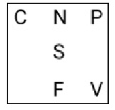 Q19 option 1