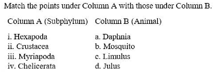 Q28 question figure