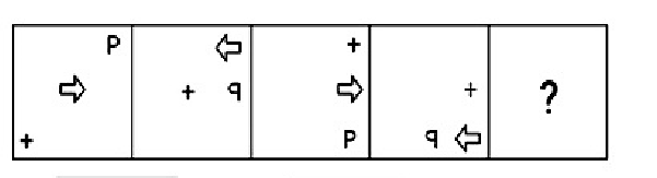 Q13 question figure