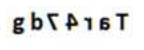 Q11 option 3 source crop