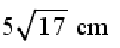 Q54 option 1