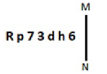 Q22 question figure