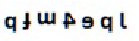 Q8 option 4