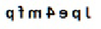 Q8 option 1