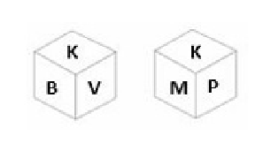 Q17 question figure