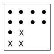 Q3 option 2 source crop