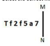 General Intelligence and Reasoning Q15 source crop